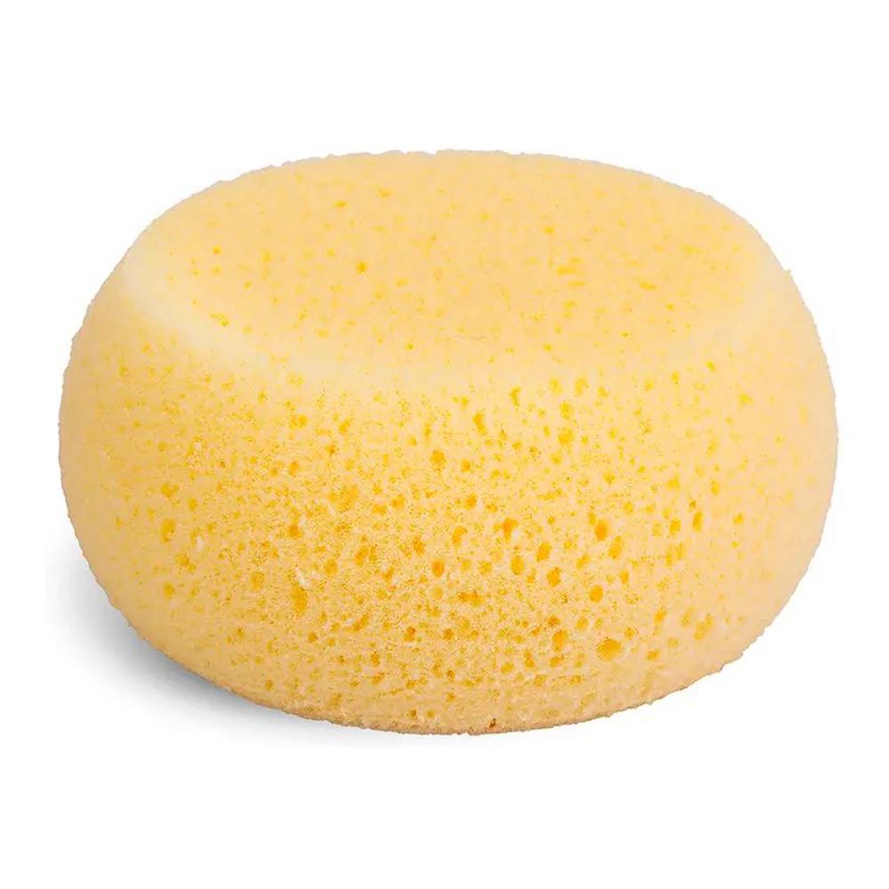'Sponge' Sponge