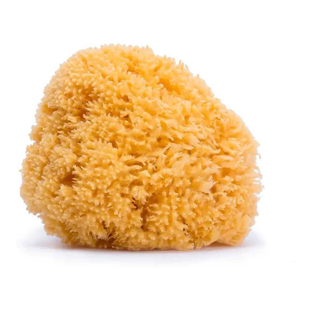 'Family Size Natural' Sponge