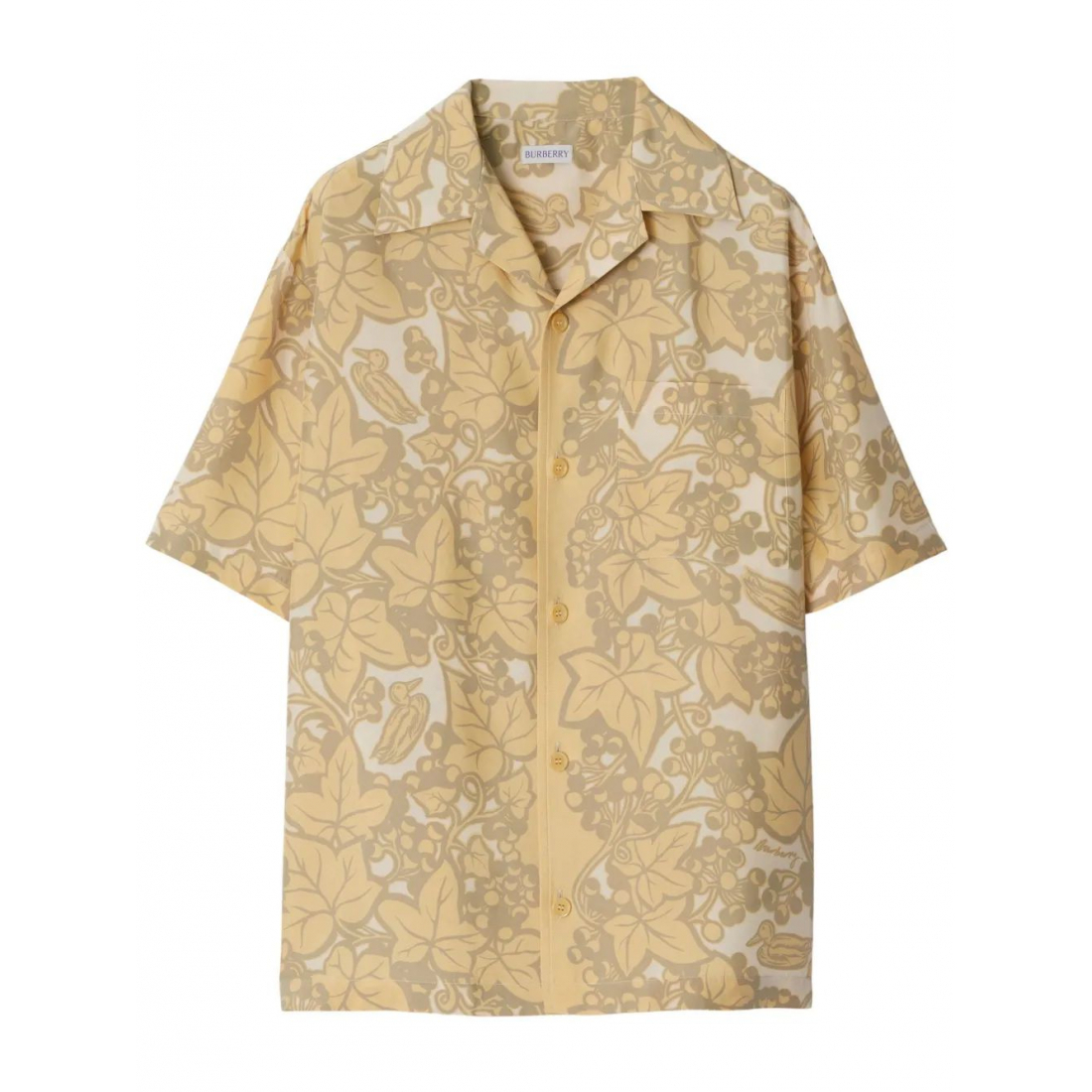 Chemise 'Ivy Silk' pour Femmes