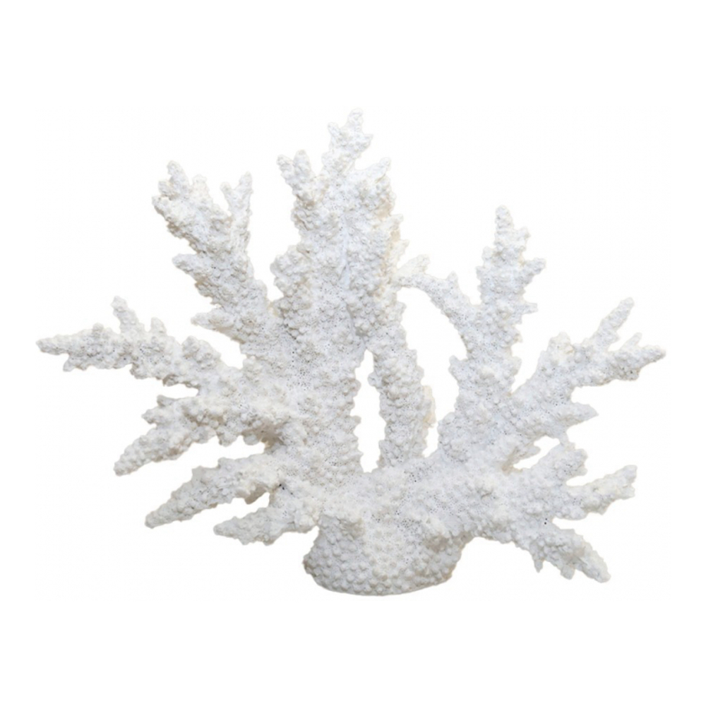 Decorative White Coral 34x13x27cm