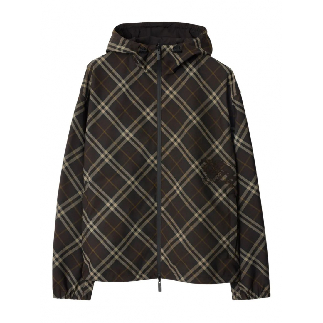 Veste 'Reversible Check Hooded' pour Hommes