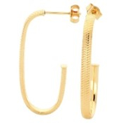 Boucles d'oreilles 'Éclat Ouvert' pour Femmes