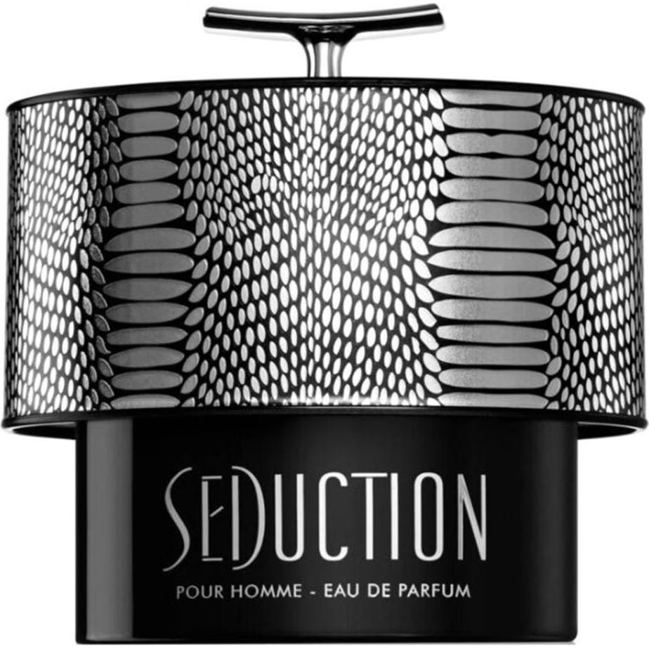 Eau de parfum 'Seduction Pour Homme' - 100 ml