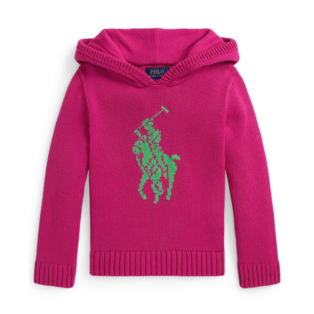 'Girls' 2T-6X Big Pony Hooded Sweater'