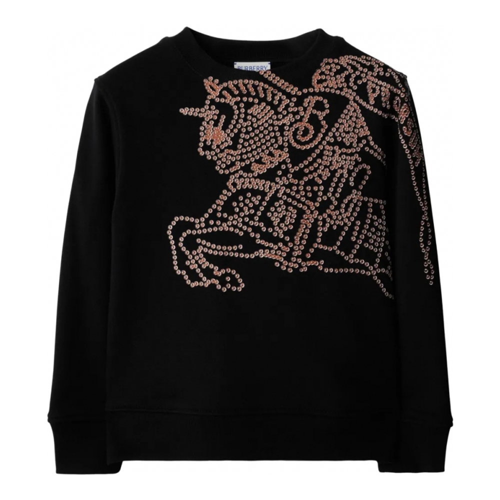 Sweatshirt 'EKD' pour Garçons