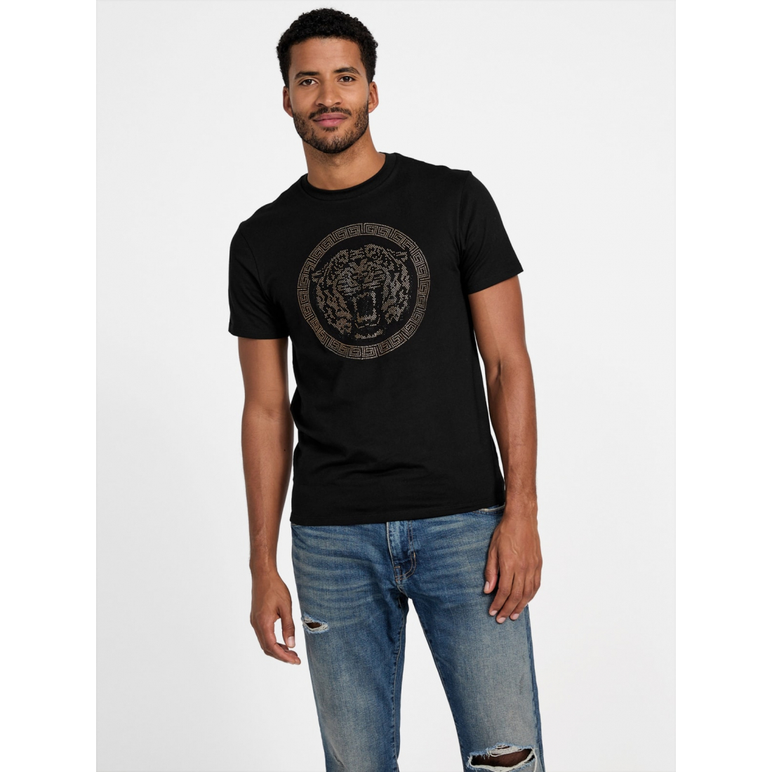 'Rava Tiger Tee' pour Hommes