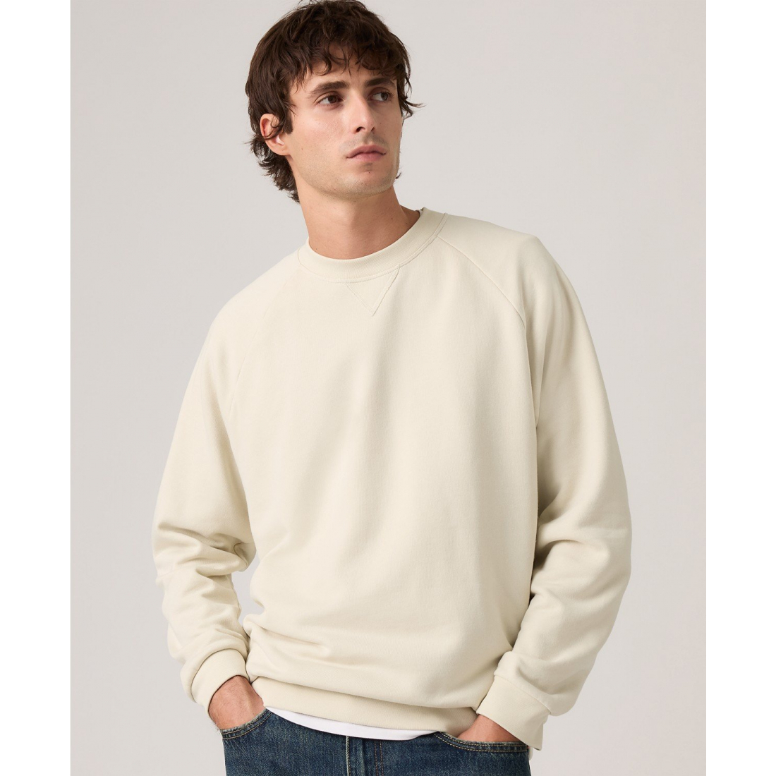 'Relaxed-Fit Crewneck Sweatshirt' pour Hommes