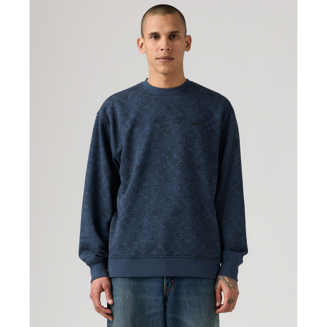 'Seasonal Crewneck Relaxed Fit Sweatshirt' pour Hommes