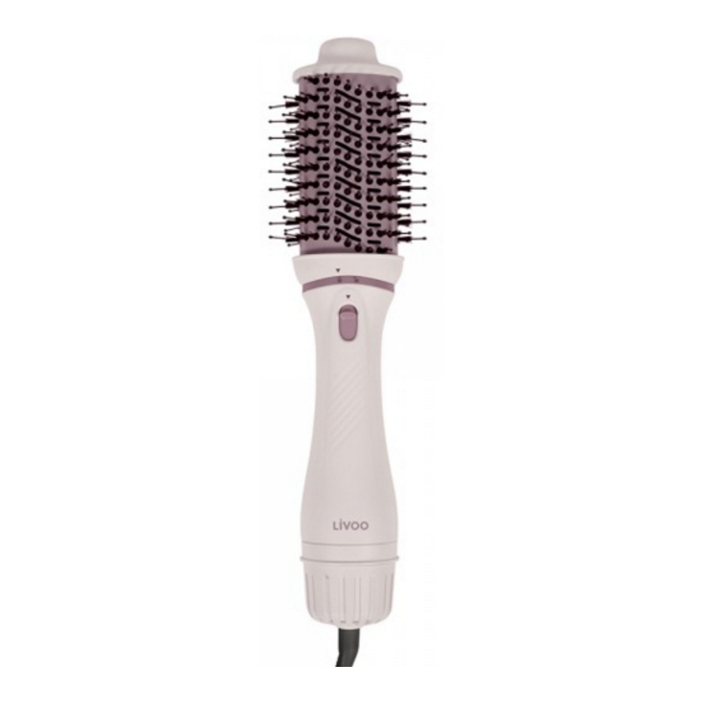 Brosse Soufflante