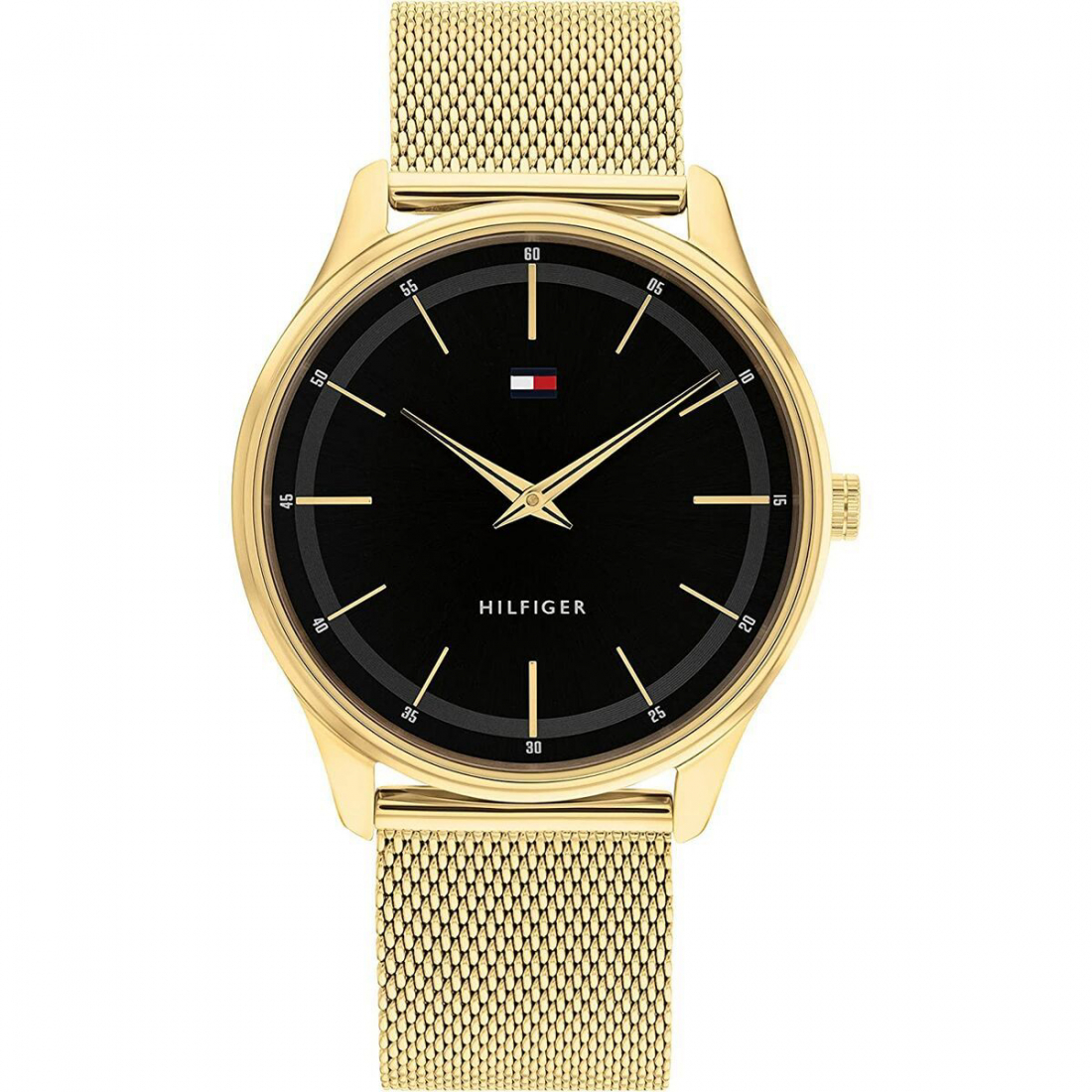 Montre '1710469' pour Hommes