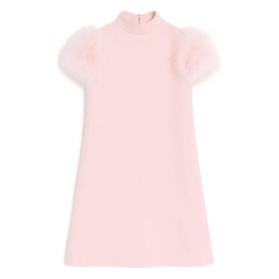 Women's 'Feathers-Detail' Mini Dress