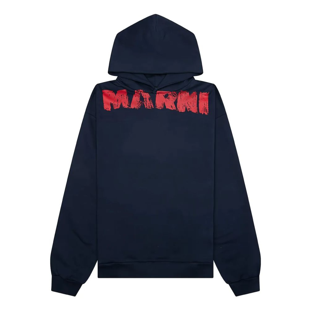 Sweatshirt à capuche  'Brushstroke Logo-Print' pour Hommes