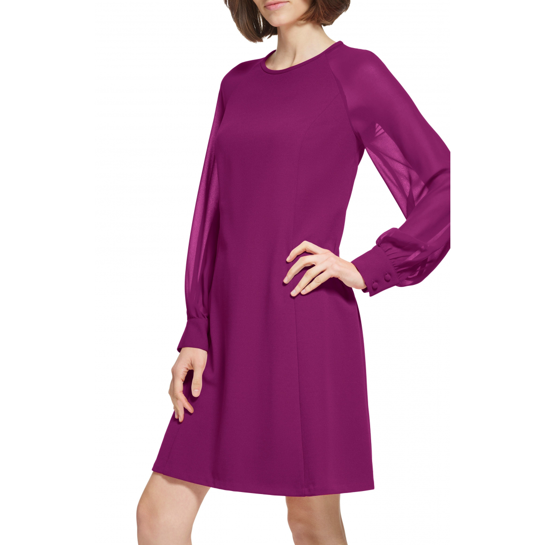 Women's 'Sheer Long Sleeve' A-line Dress