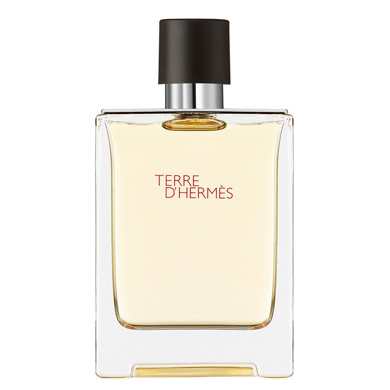 'Terre d'Hermès' Eau De Toilette - 100 ml