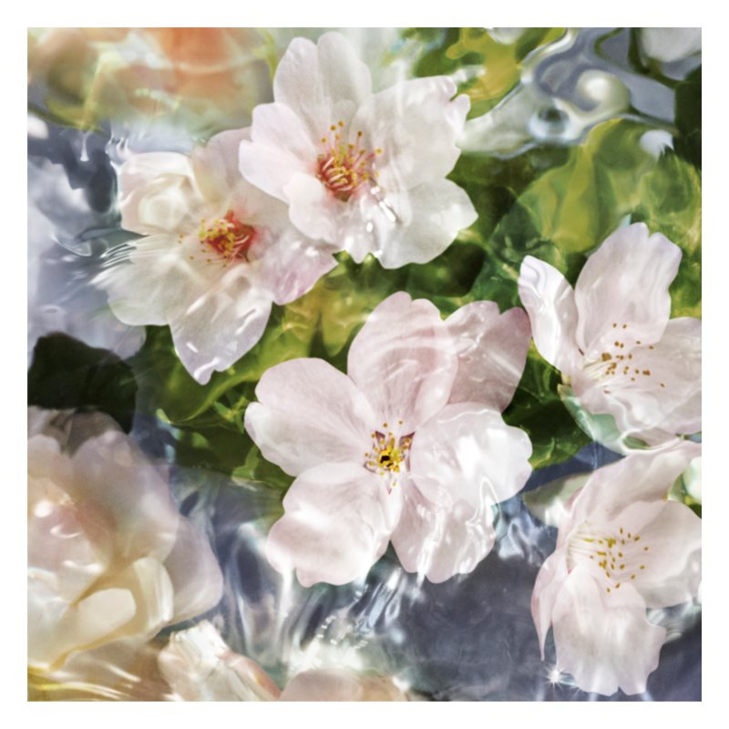 'Aqua Allegoria Flora Cherrysia' Eau de toilette - Recharge - 200 ml