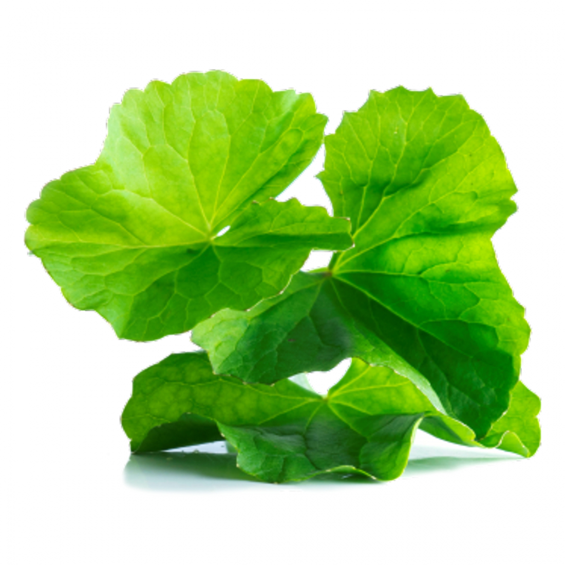 'Bariéderm Cica-Daily Sérum - 30 ml