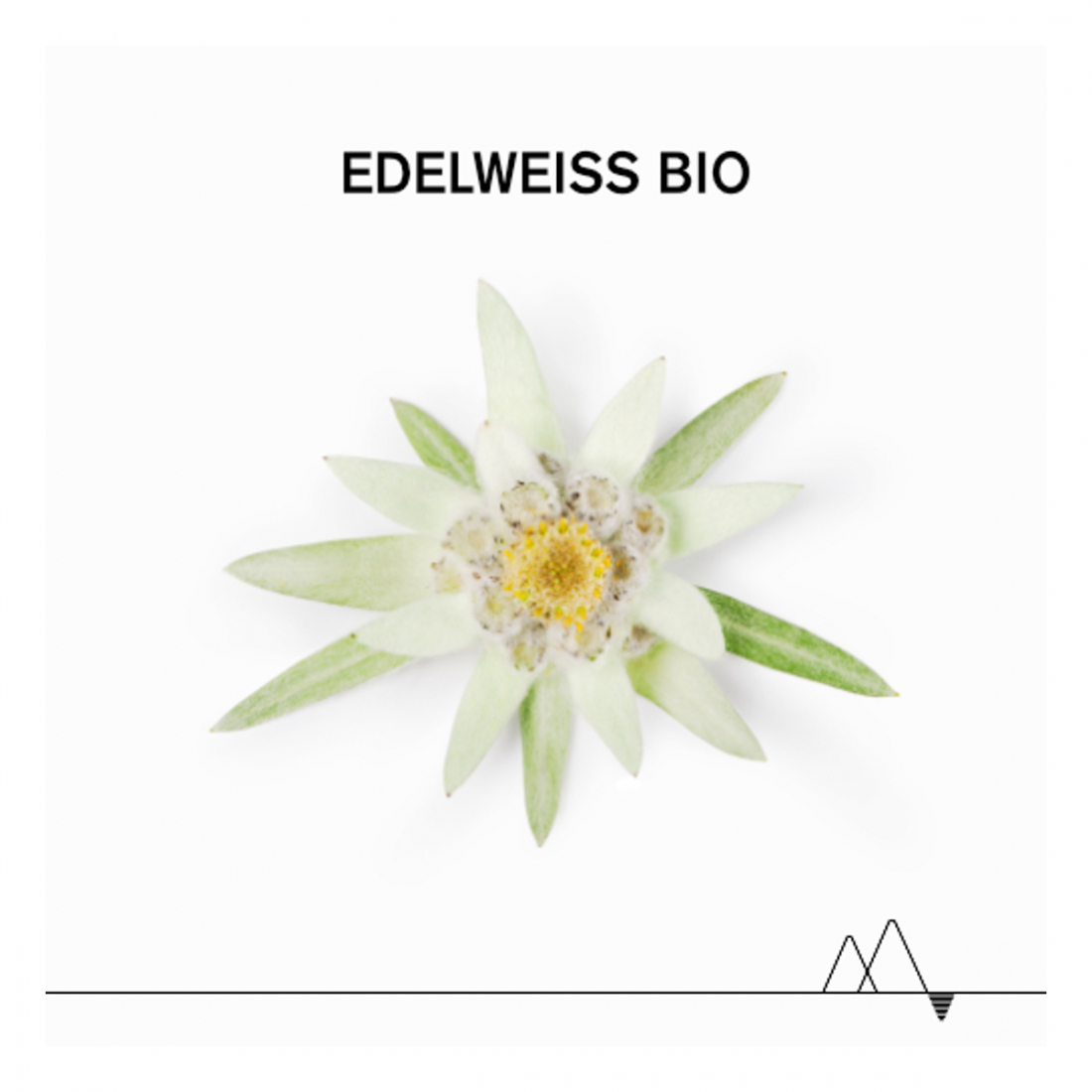 Bébé 1Er Soin Péri Oral A l'Edelweiss Bio - 30 ml