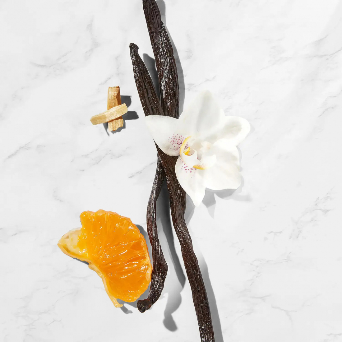 'Ambre Vanille' Body Cream - 300 ml