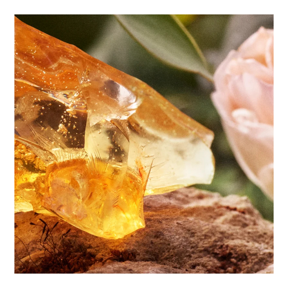 'Signature' Eau de Parfum - Refillable - 100 ml