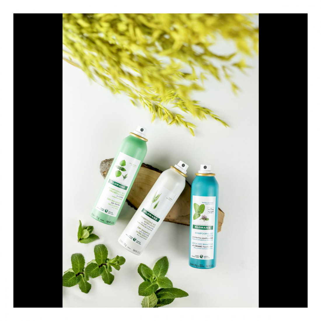 Shampoing Sec Teinté Au Lait D'Avoine - 50 ml