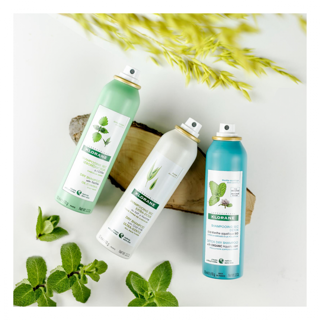 Shampoing Sec À L'Ortie - 50 ml