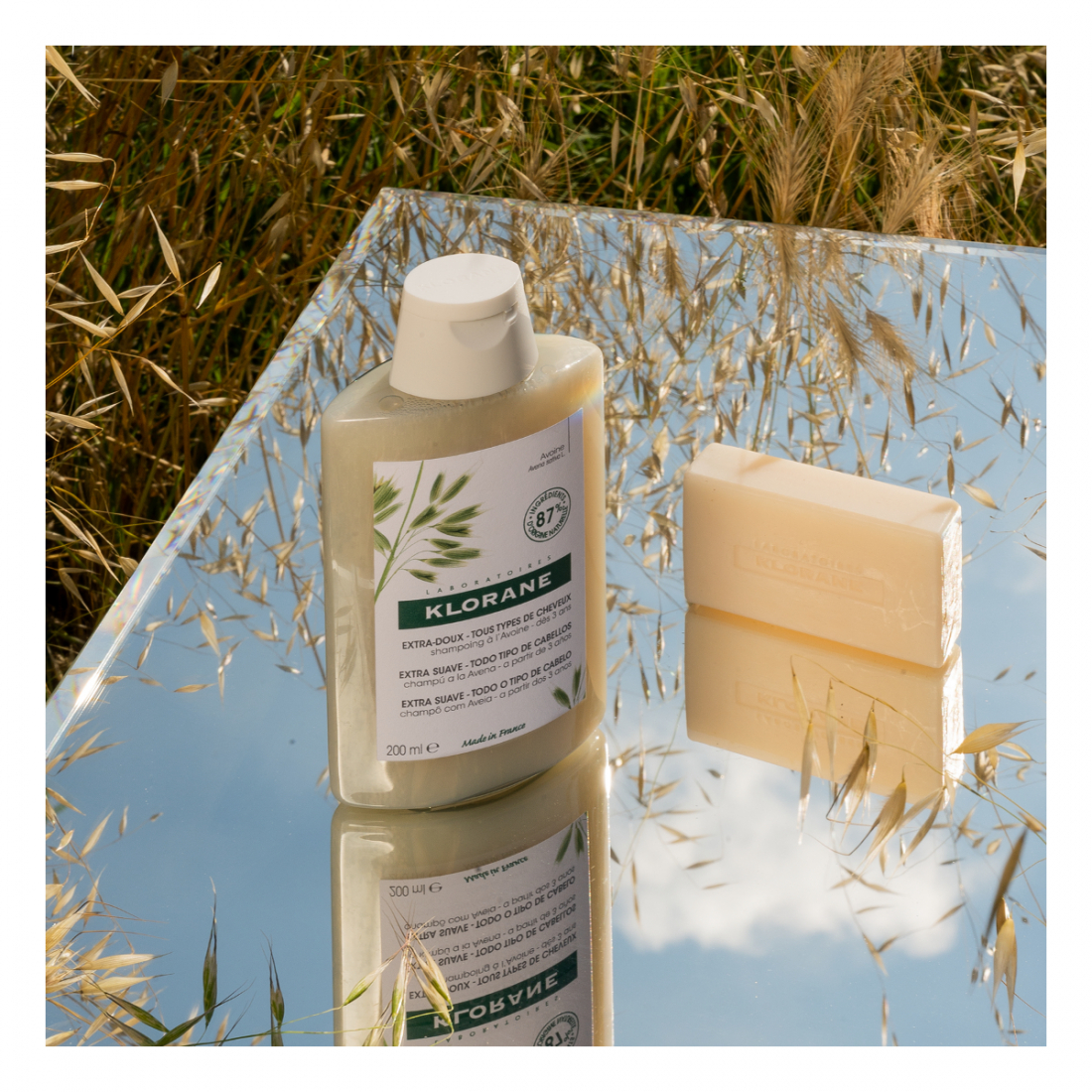 Shampoing À L'Avoine' - 50 ml