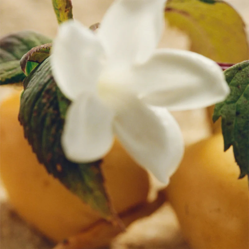 Eau de parfum 'Nomade Jasmine Naturelle Intense' - 50 ml