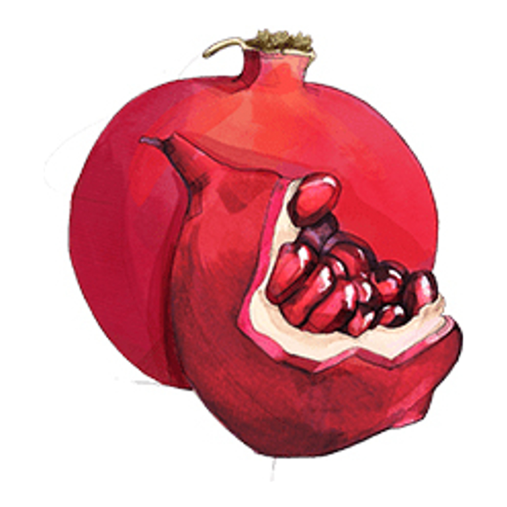 Eau de Cologne 'Pomegranate Noir' - 30 ml