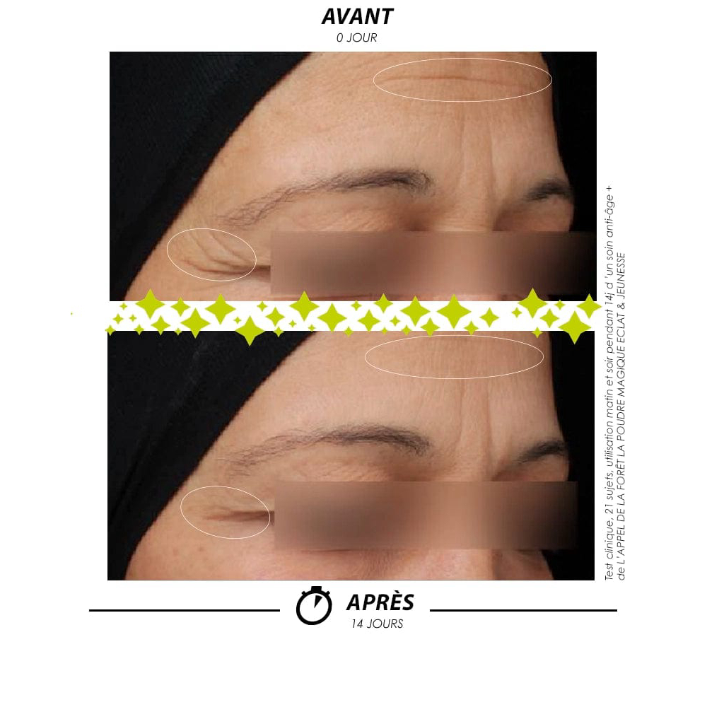 'L'Appel de la Forêt Eclat Jeunesse' Gesichtspuder - 6 g
