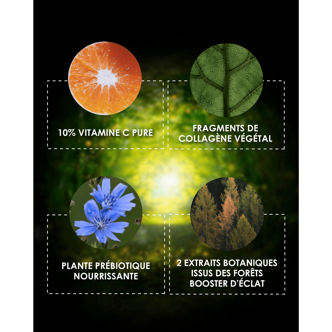 'L'Appel de la Forêt Eclat Jeunesse' Gesichtspuder - 6 g