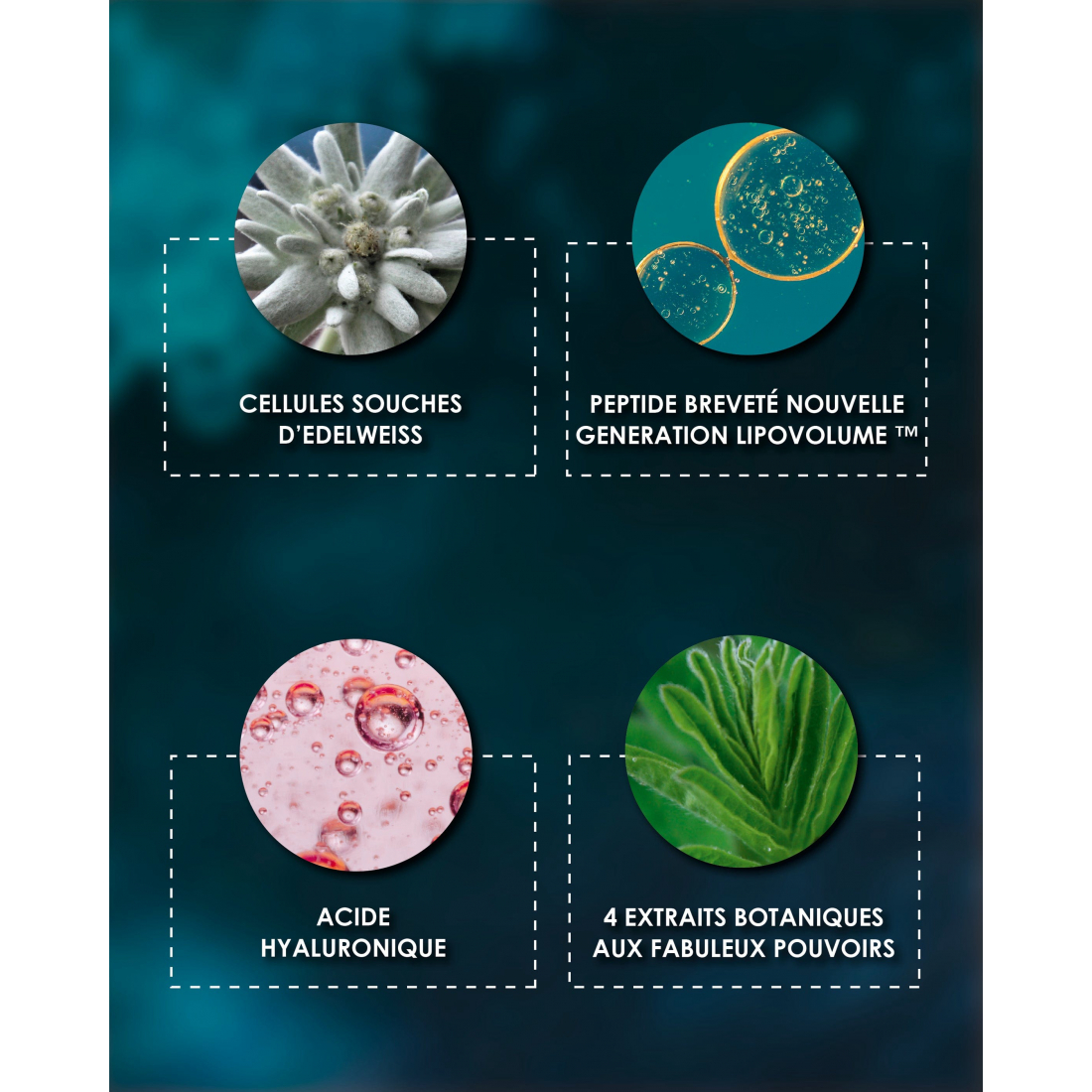 Crème de nuit 'À La Belle Étoile' - 40 ml