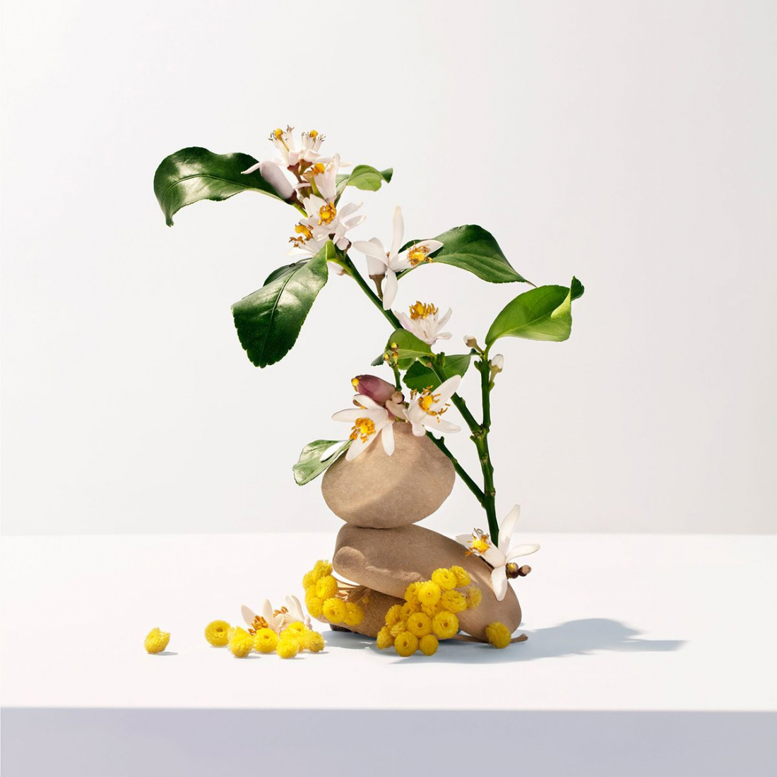 Crème mains & ongles 'Néroli' - 30 ml