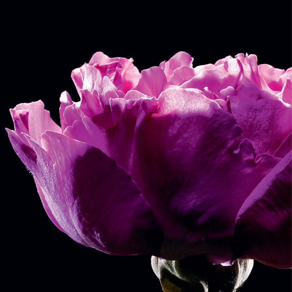 Eau de toilette 'Paris' - 125 ml