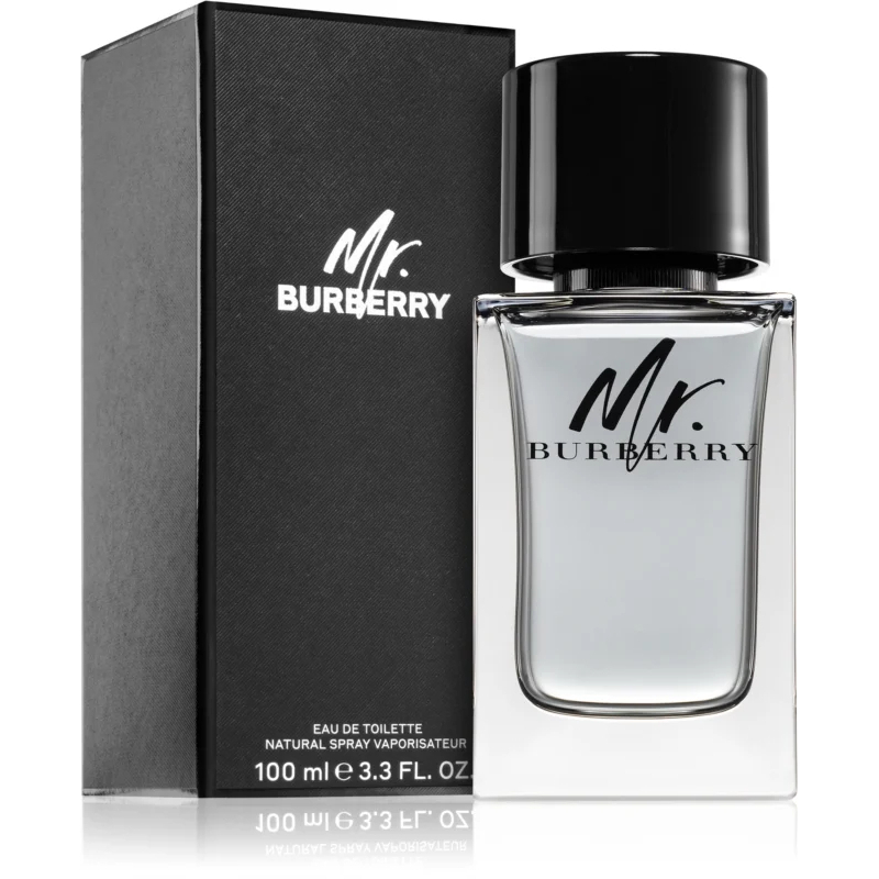 Eau de toilette 'Mr. Burberry' - 100 ml