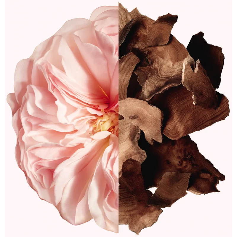 Brume pour cheveux 'Irrésistible' - 35 ml