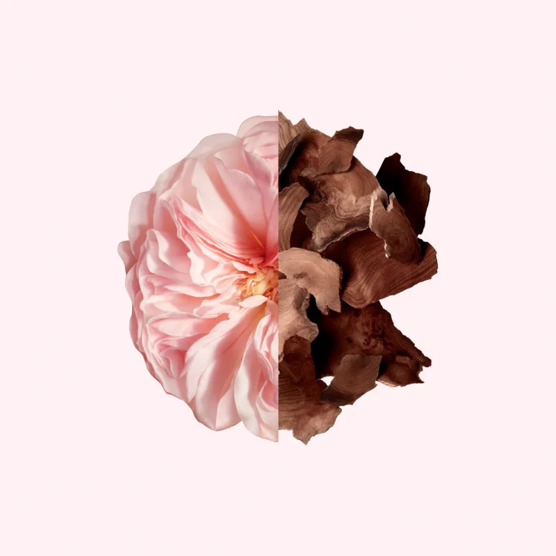 Huile de douche 'Irrésistible' - 200 ml