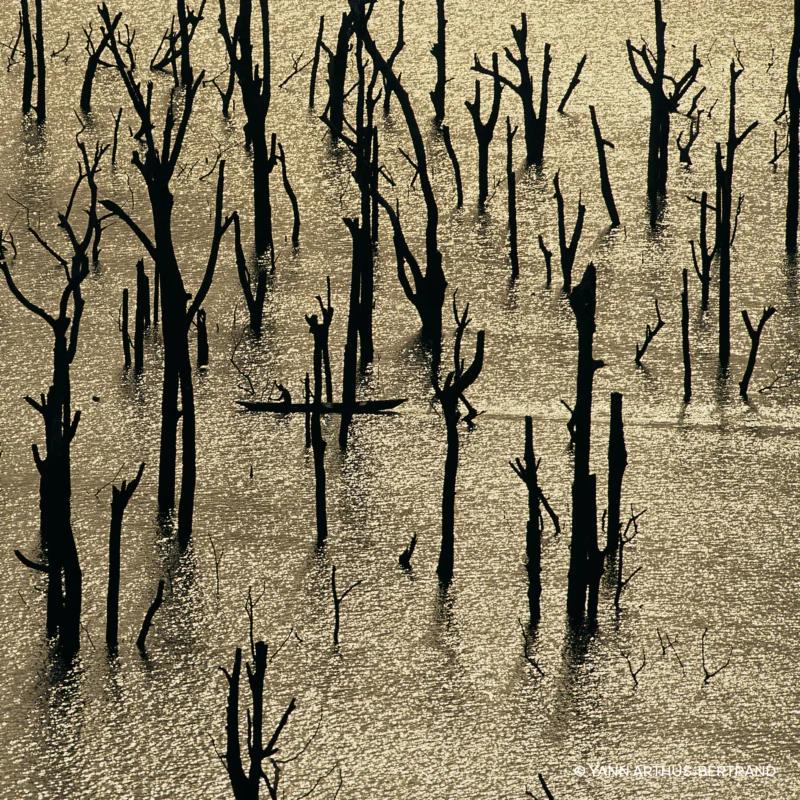 Eau de Parfum - Recharge 'Aqua Allegoria Nerolia Vétiver Forte' - 200 ml