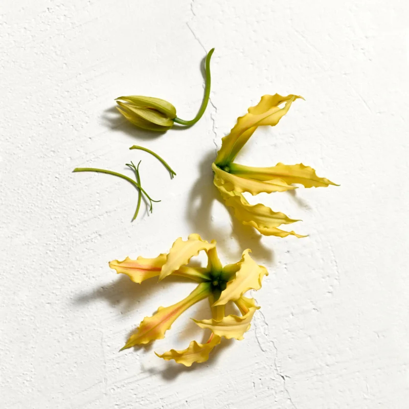 Eau de toilette 'Sun' - 30 ml