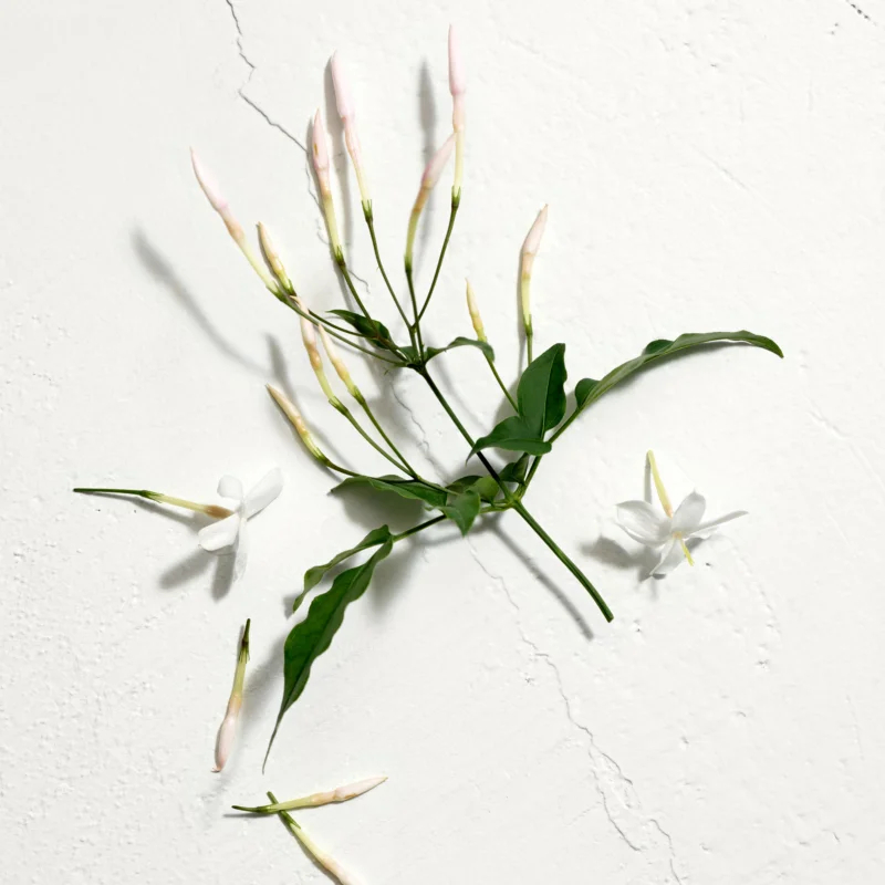 Eau de toilette 'Sun' - 30 ml