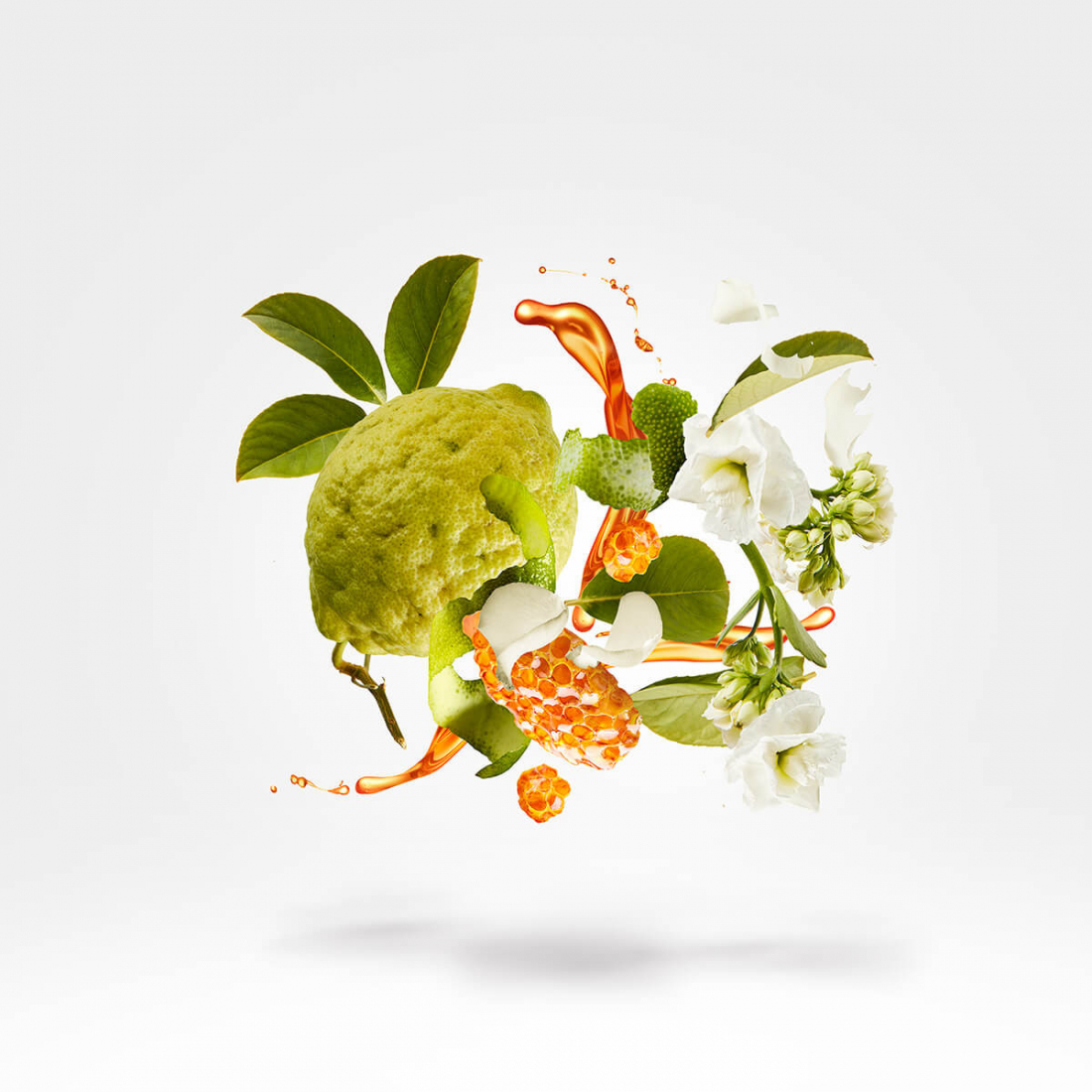 Eau de parfum '1861 Naxos' - 100 ml