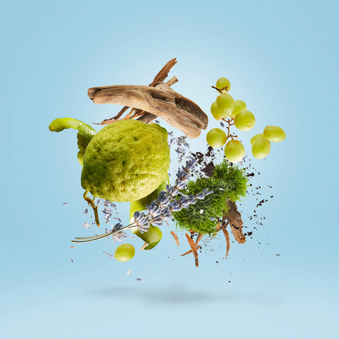 'Casamorati 1888 Mefisto Gentiluomo' Eau de parfum - 100 ml