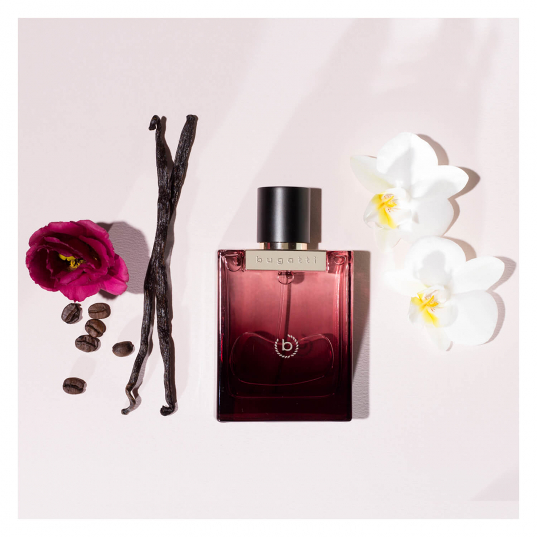 Eau de parfum 'Bella Donna Intensa' - 60 ml