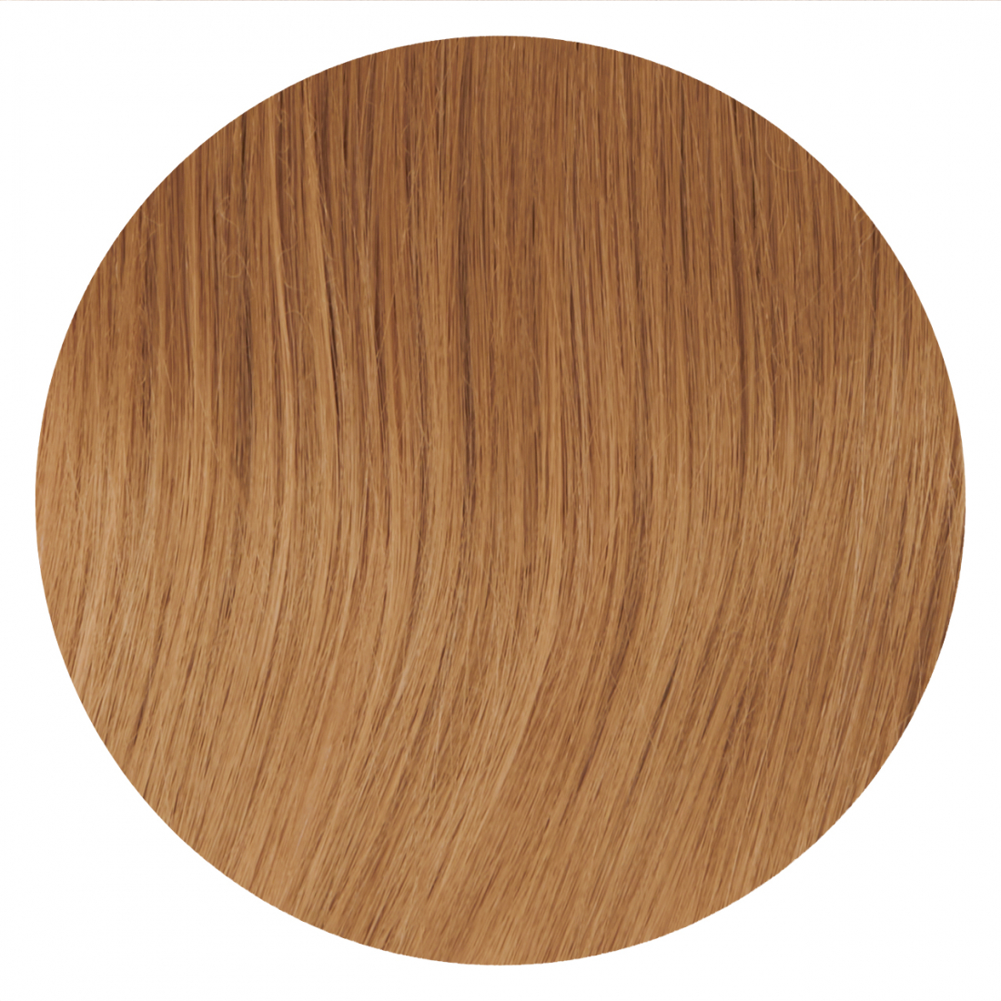 Queue de cheval 'Stiff' - Rouquine