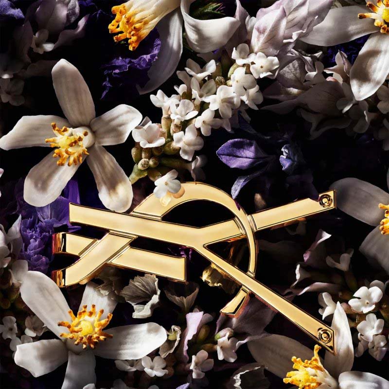 Parfum 'Libre L'Absolu Platine' - 50 ml