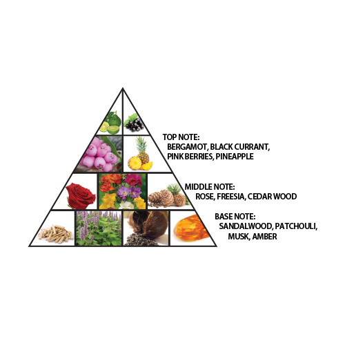 Eau de parfum 'L'Aventure Femme' - 100 ml