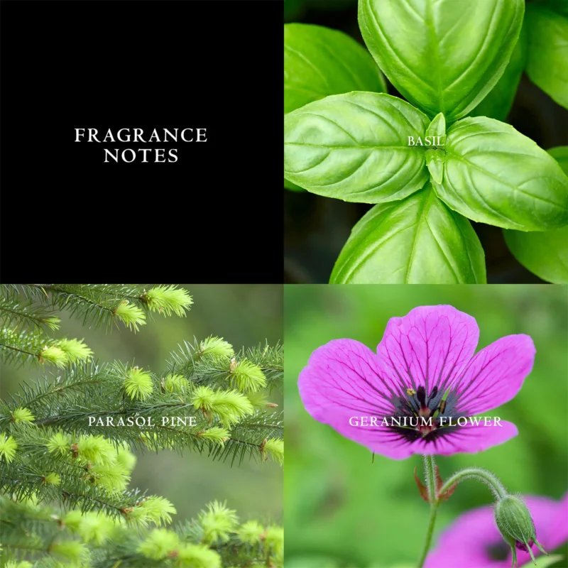 Eau de toilette 'Artisan Blu' - 75 ml