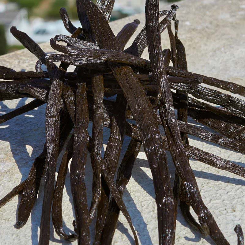 Eau de parfum 'Devotion' - 100 ml