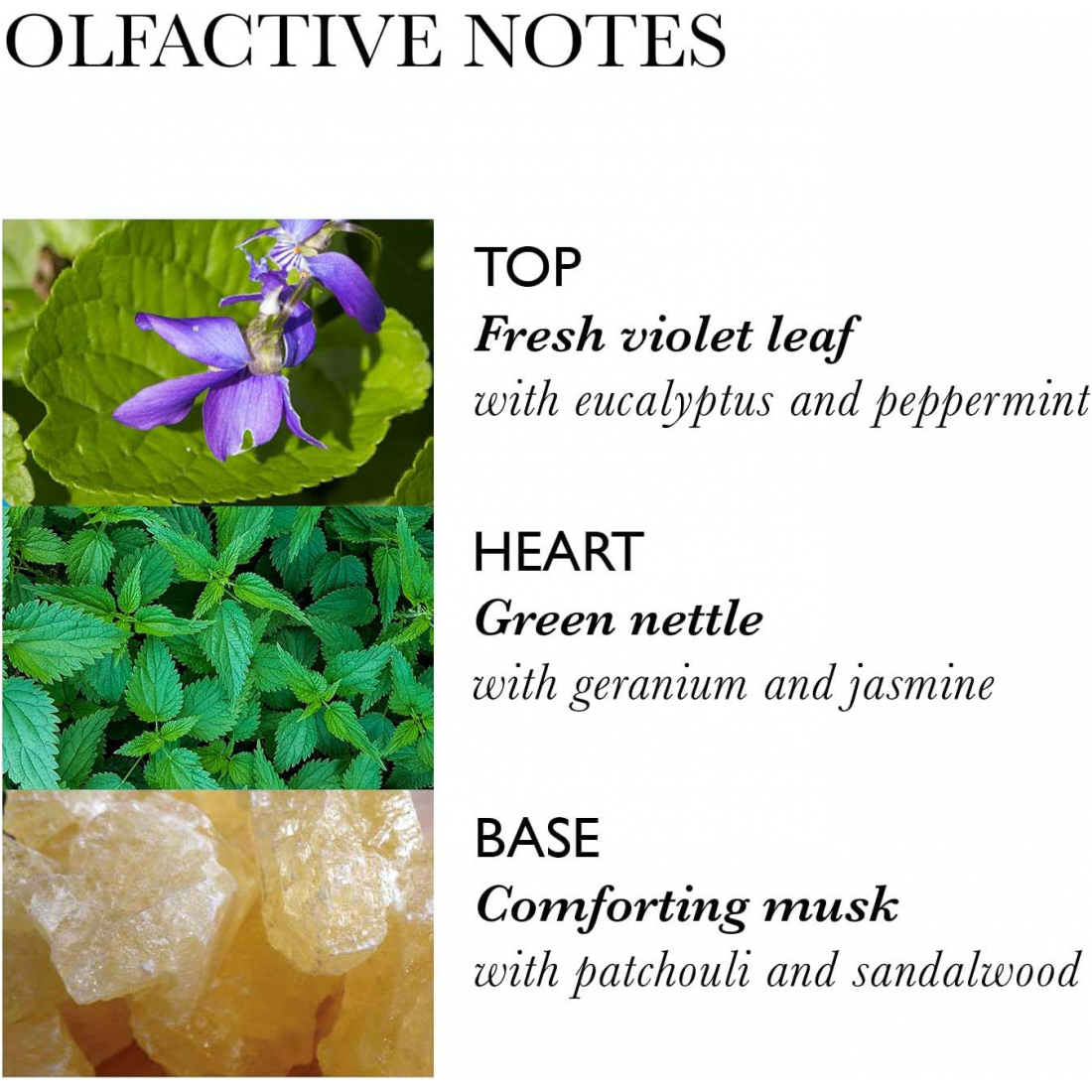 'Nettle' Shampoo - 300 ml