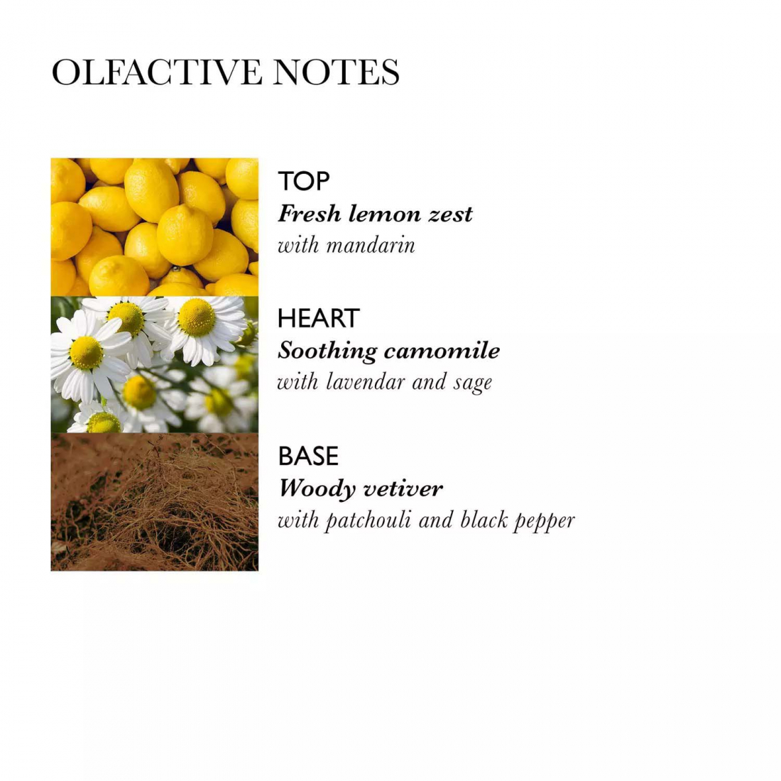 Après-shampoing 'Camomile' - 300 ml