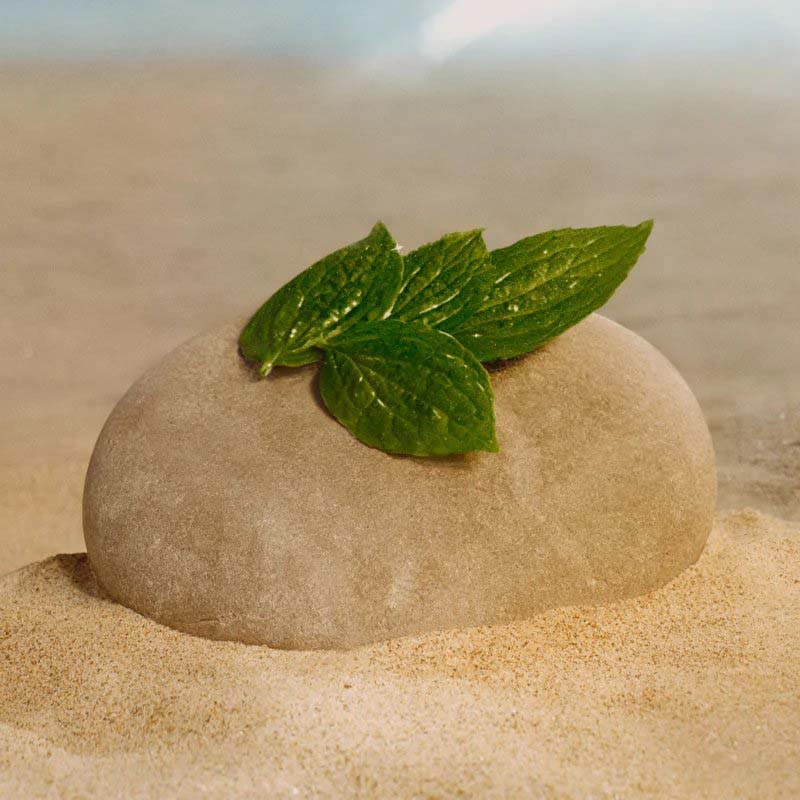 'Flora Gorgeous Magnolia' Eau de parfum - 100 ml